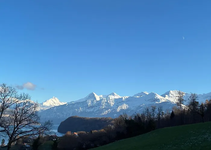 Serenite Einigen, Chalet, Cherry Blossom Special